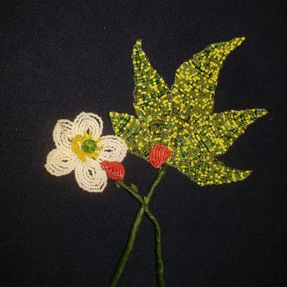 Meet your Posher, Grace - Picture 4 of 4